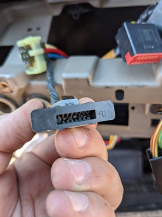 Black connector plug