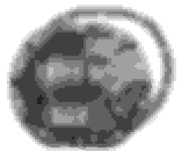 Aftermarket Rear Diff Cover? Ford F150 Forum Community of Ford