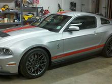 shelby1