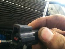photo1