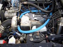 CIMG1350