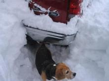 Digging out.