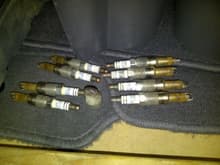 All 8 spark plugs. and mystery white rubber boot cover that was inside the spark plug well inside #7