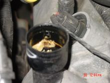 Oil Cap Muddy Bike 002