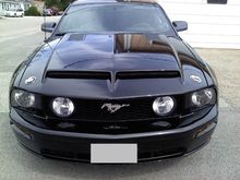 Mustang