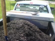 The mountain of mulch!