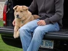 One of my senior pics.