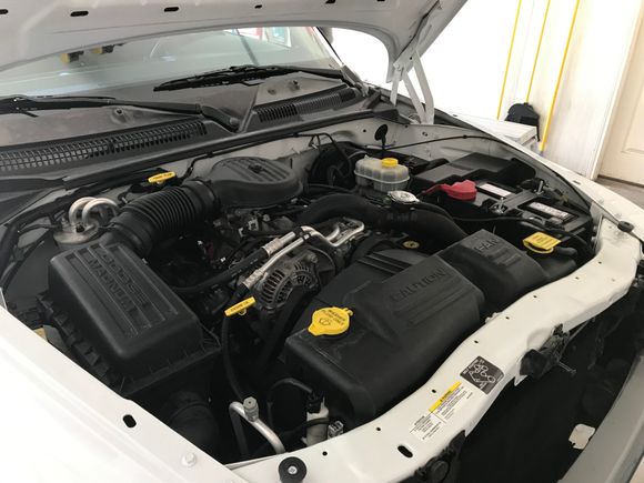 Dakota engine bay after detailing.