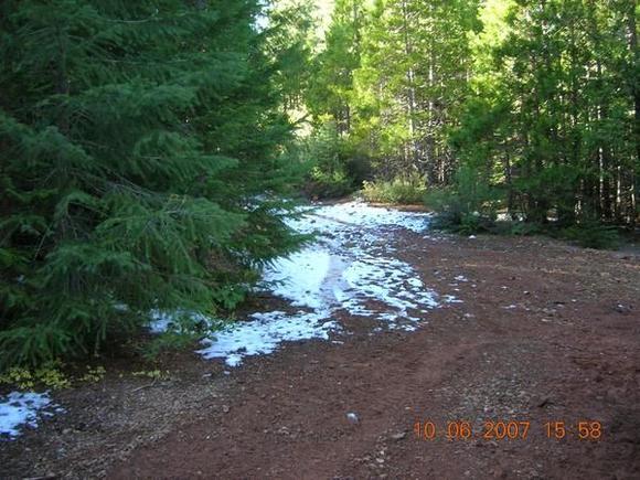 8835 13908 203129