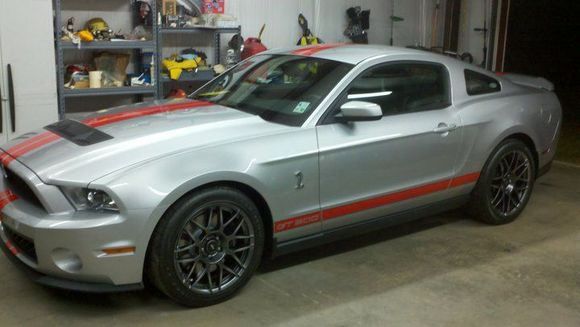 shelby1