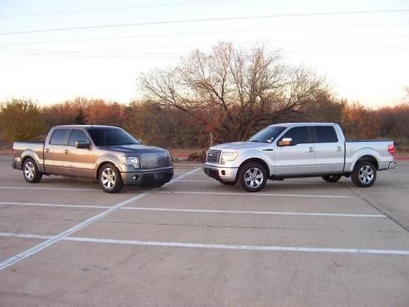 Brothers, darker (Milt IV) on the left, mine, lighter on the right.