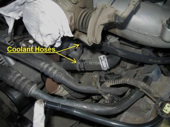 Timing Cover Gasket 17
