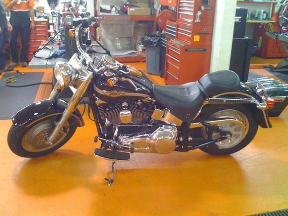 2003 Harley Davidson Fatboy