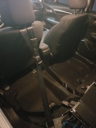 I got the 4 point harness and removed the back seats