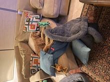 She has all she needs in what we have taken to calling “Poppy’s lounge!” ;)