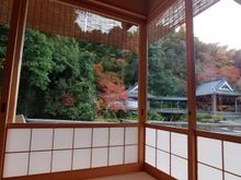 view from lounge