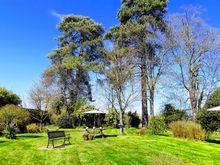 Back lawn