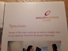 Singapore airlines 36inch Executive economy class 