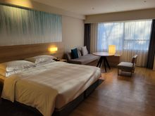 Premium Hot Spring King room