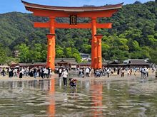 Looking back towards the island and the  shrine from the sea side of the torii gate @1430 ( low tide)