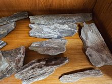 My six pounds of petrified wood on my office shelf. Thanks so much, Eric I didn't have any at all! 