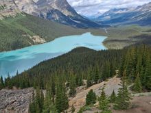 Peyto Lake (looks like a wolf)