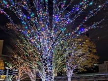Some of the illuminated trees by the Mori Tower in Roppongi hills ( christmas market also here)