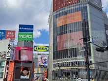 Shibuya scramble crossing at daytime. Night us a lot better ime