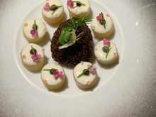 Caviar & ..