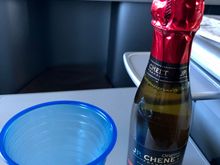I ordered a glass of sparkling wine. This France JP. Cheney was literally the worst glass of wine I have, possibly, ever had.