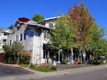 Wandering around Bainbridge