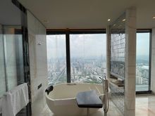 Bathtub with View of City Center