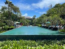 Main pool 
