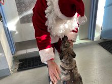 These rascals? We haven’t done our official Christmas photo yet though!