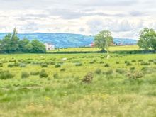 Gorgeous view from the train. 