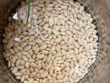 Soaked the beans overnight. 