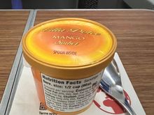 Mango sorbet for dessert 😃