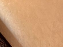 Wallpaper in the privilege room.