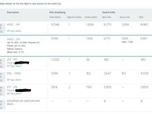 Mileage summary on AAdvantage page