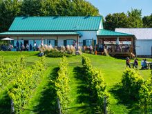 And the winery and terrace.