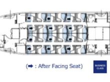 ANA 787-9 New Business 