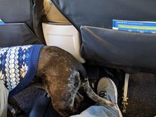 My seatmate today