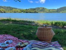 Picnic time!  