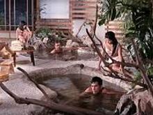 Japanese "onsen" in Tiger Tanaka's house