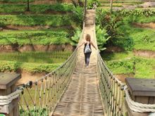 The Bridge