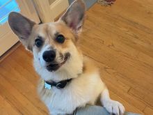 What is it mom!?!