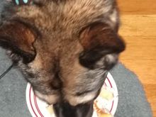 Grace eating her cake