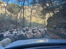 Some Traffic 