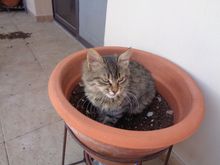 My Post Pictures