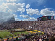 Here come the Tigers!